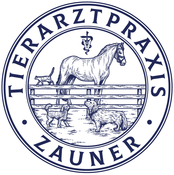 Tierarztpraxis Zauner am Stern